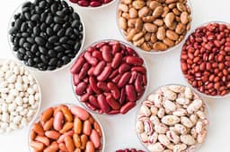 Pulses Wholesome Plant Staples1