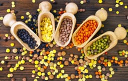 Pulses Wholesome Plant Staples0