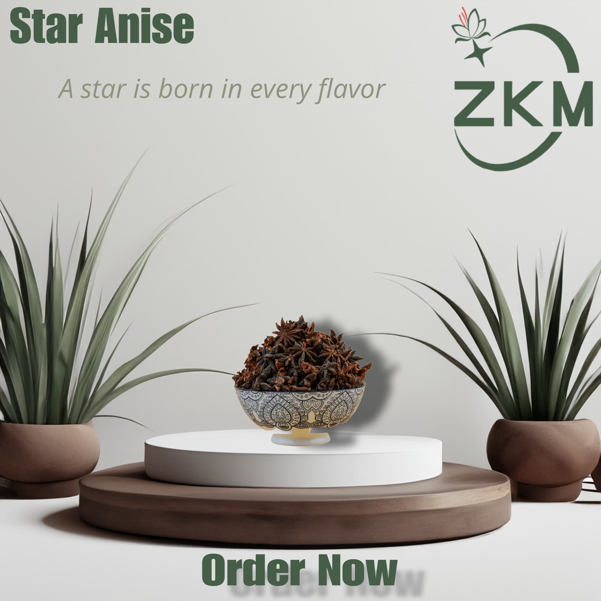 Star Anise